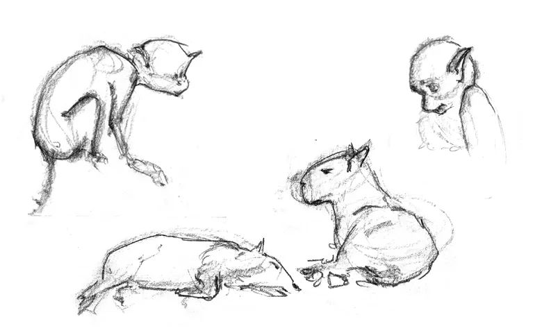 Animals thumbnails